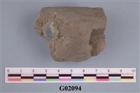 藏品(螃蟹)的圖片